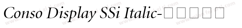 Conso Display SSi Italic字体转换